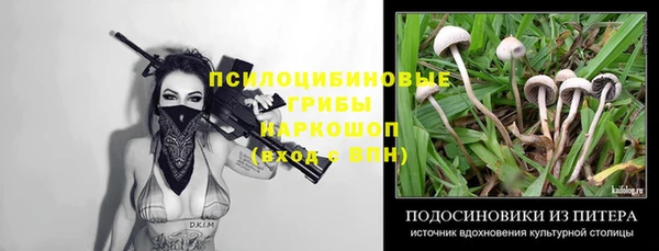 спайс Волоколамск