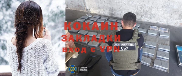 индика Вяземский