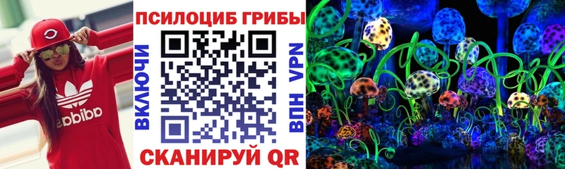 Купить где  Тихорецк  Псилоцибиновые грибы мухоморы 